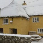 Frequently Asked Questions snowy stag